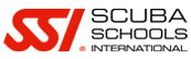 SSI